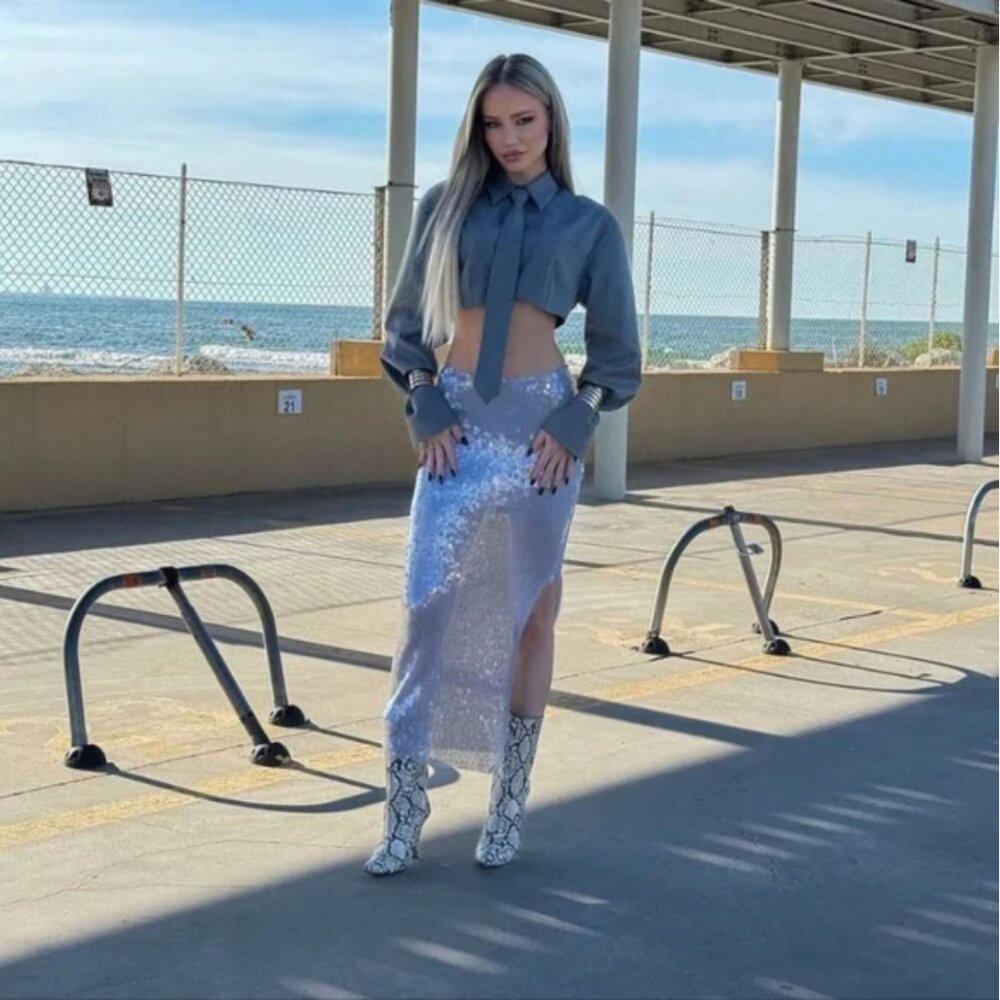 Zara Sequin Midi Skirt 7901/863 - Picture 4 of 11